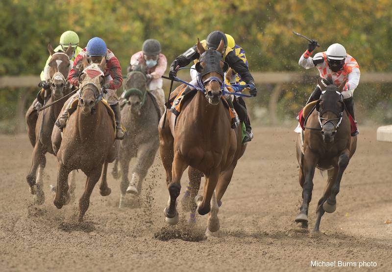 Horseracing at Fort Erie Race Track 