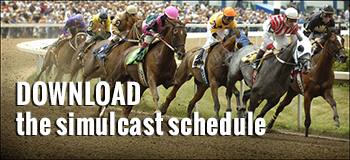 Download simulcast schedule 