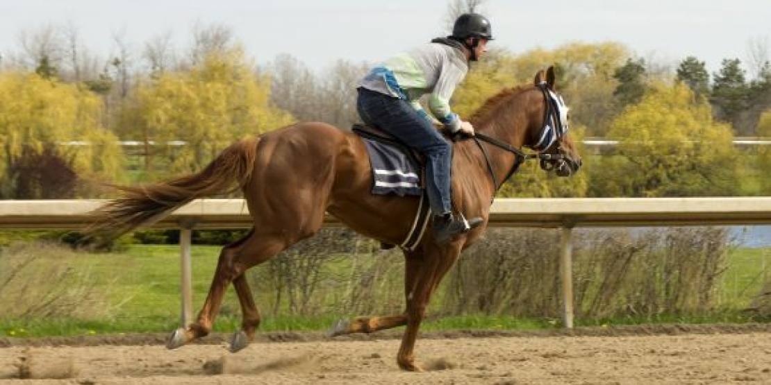 Training Begins for the 2016 Racing Season in Fort Erie