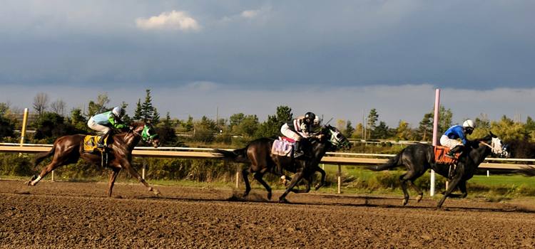 Photo of horses racing