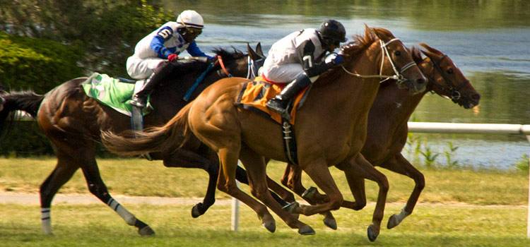 Photo of horses racing