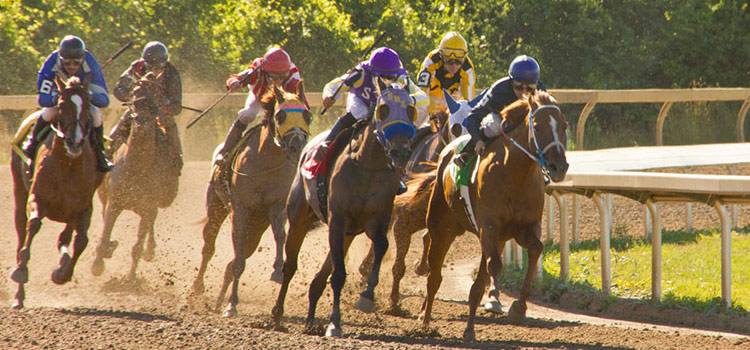 Photo of horses racing